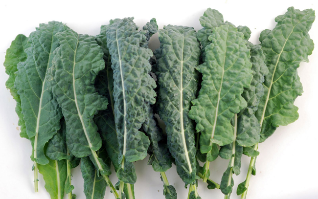 The History and Nutrition of Kale